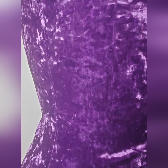 Betsy Johnson Size 4 Elegant Velvet Membroidered And Sheer Hem In Purple Dress - Picture 6 of 13